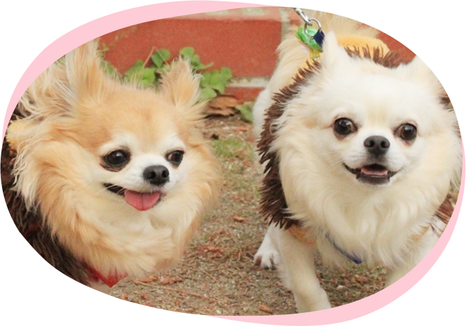 里親募集 FOSTER PARENTS